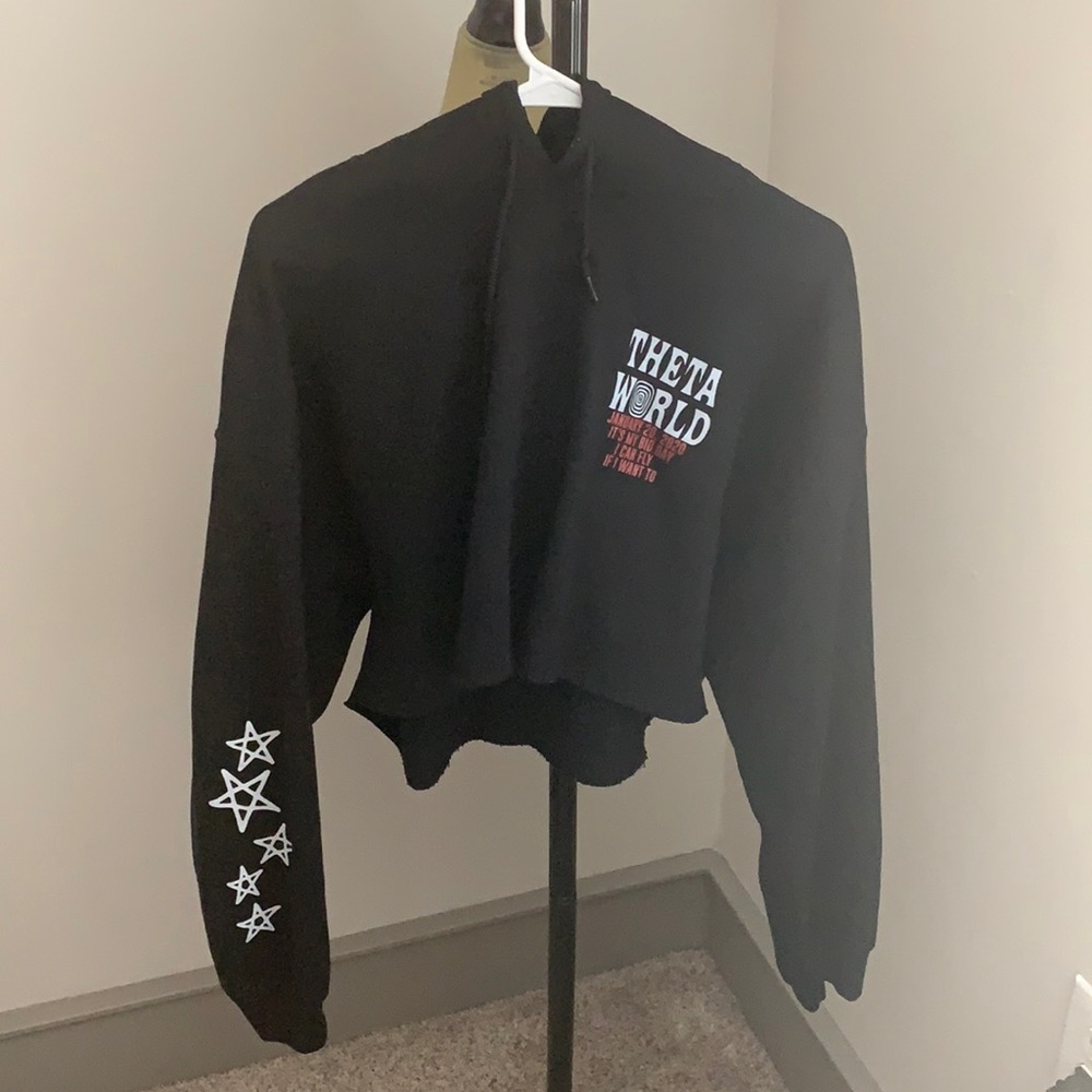Kappa Alpha Theta Bid day cropped sweatshirt